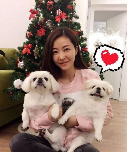熊黛林郭可頌豪宅曝光 時尚現代風格裝修